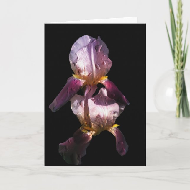 Morgen Iris Karte (Vorderseite)