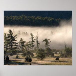 Morgen-Nebel im Adirondacks Poster