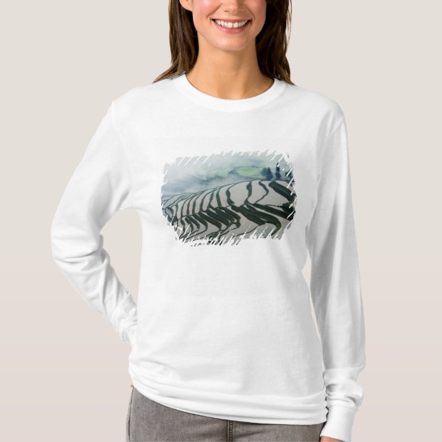Morgen-Nebel über Reis-Feldern T-Shirt (Vorderseite)