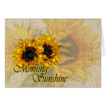 Morgen Sonnenschein...