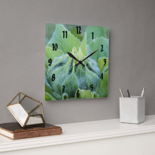 Morgen-Tau bedeckte Quadratische Wanduhr