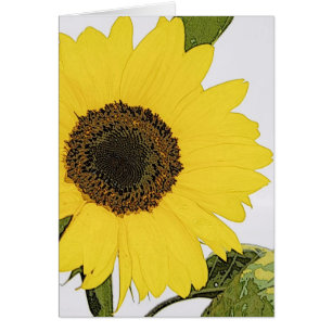 Morgen-Tau-Sonnenblume