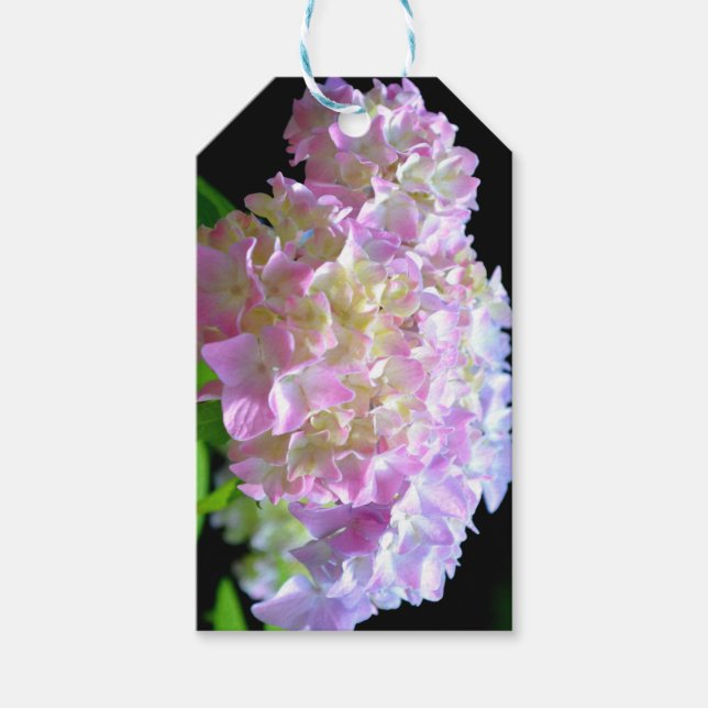 Morgenflüstern - Hydrangeas Geschenkanhänger (Vorderseite)