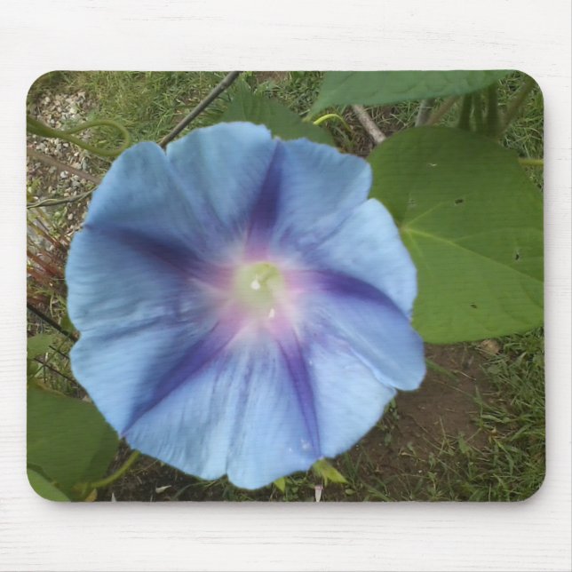 Morgenglanz Mousepad (Vorne)