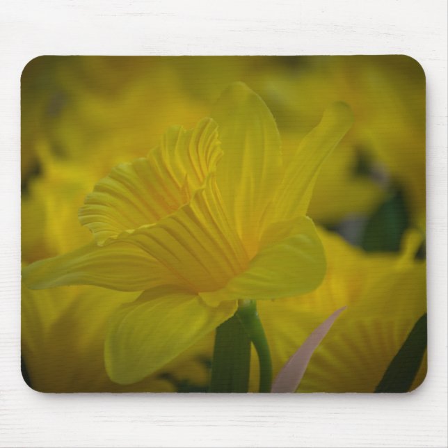 Morgengras Mousepad (Vorne)