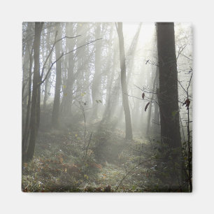 Morgengrauen am Mist Square Magnet