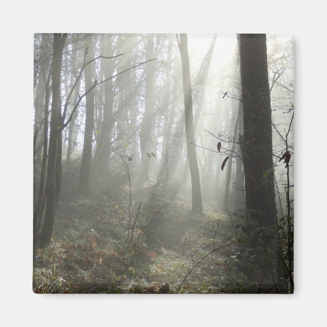 Morgengrauen am Mist Square Magnet (Vorne)