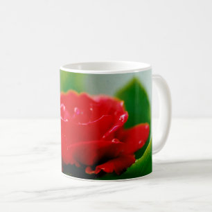 Morgengrauen rote Rose mit Taubstropfen Kaffeetasse