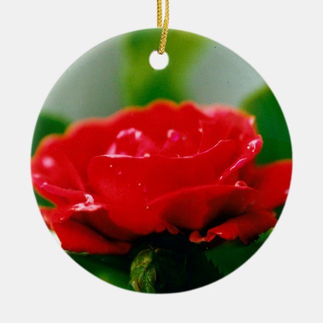 Morgengrauen Rote Rose mit Taubstropfen Keramik Ornament (Vorne)