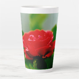 Morgengrauen rote Rose mit Taubstropfen Milchtasse