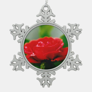 Morgengrauen Rote Rose mit Taubstropfen Schneeflocken Zinn-Ornament