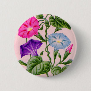 Morgenherrlichkeit in blau und rosa button