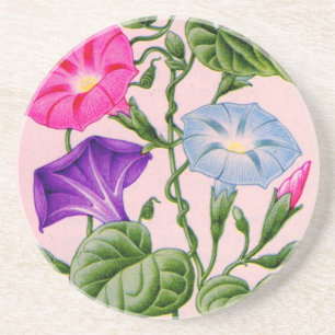 Morgenherrlichkeit in blau und rosa getränkeuntersetzer