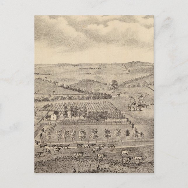 Morgenlandschaft, JD-Flüsse Postkarte (Vorderseite)