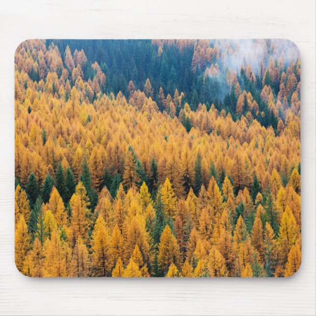 Morgenlicht am Strand | Insel Tybee Mousepad (Vorne)