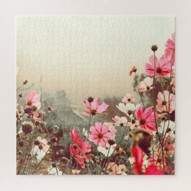 Morgenlicht, blühende rosa Kosmos. (Vertikal)