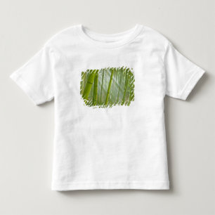 Morgenlicht, das durch Bambus fällt Kleinkind T-shirt