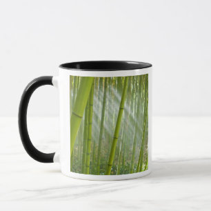 Morgenlicht, das durch Bambus fällt Tasse