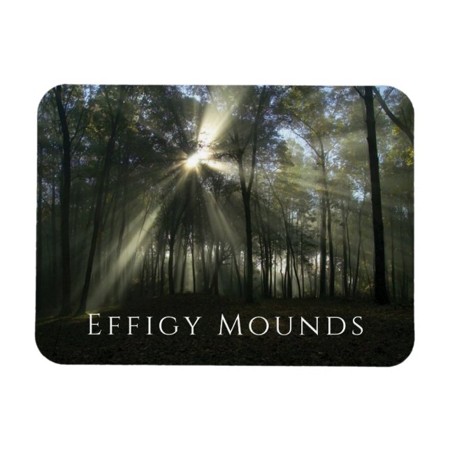 Morgenlicht durch Bäume, Effigy Mounds, Iowa Magnet (Horizontal)