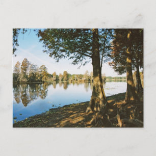 Morgenlicht Postkarte