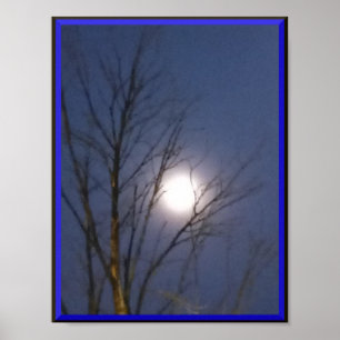 Morgenmondlicht-Poster Poster