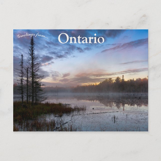 Morgennebel am Biberteich im nördlichen Ontario Postkarte (Vorderseite)
