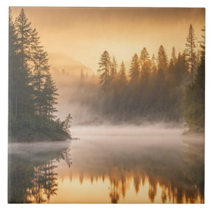 Morgennebel am Fluss in den Pinien Fliese