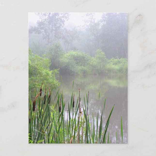 Morgennebel am Teich Postkarte (Vorderseite)