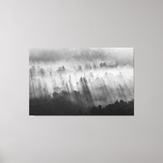 Morgennebel auf dem Berg Leinwanddruck (Vorderseite)