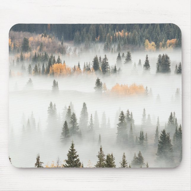 Morgennebel bedeckt Bergwald Mousepad (Vorne)