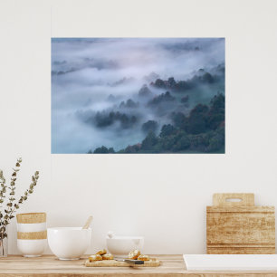 Morgennebel, der durch Bäume rollt Poster