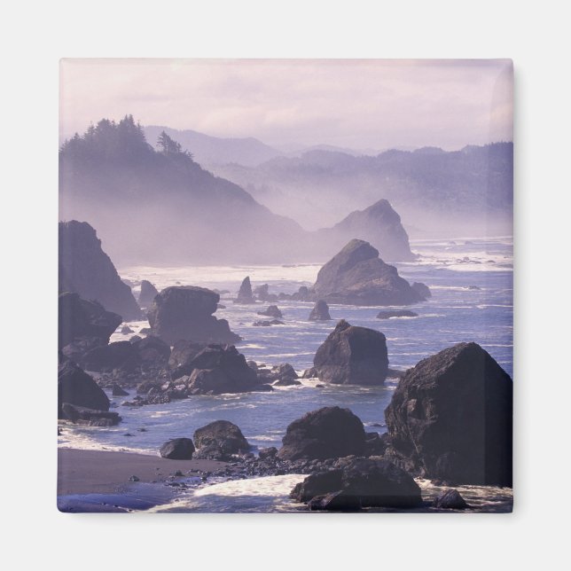 Morgennebel entlang der Küste von Oregon bei Nesik Magnet (Vorne)