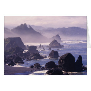 Morgennebel entlang der Oregon-Küste nahe Nesika,