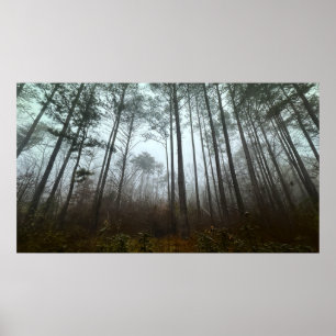 Morgennebel, Poster