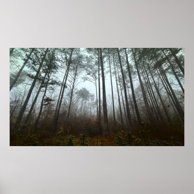 Morgennebel, Poster (Vorne)