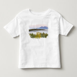 Morgennebel und die Percy Peaks, wie aus Sicht Kleinkind T-shirt