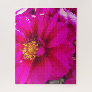 Morgenruhe: Sanfte rosa Daisy mit goldenem Zentrum