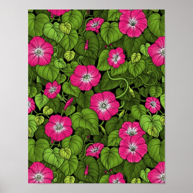Morgenruhm in Rosa und Grün Poster (Vorne)