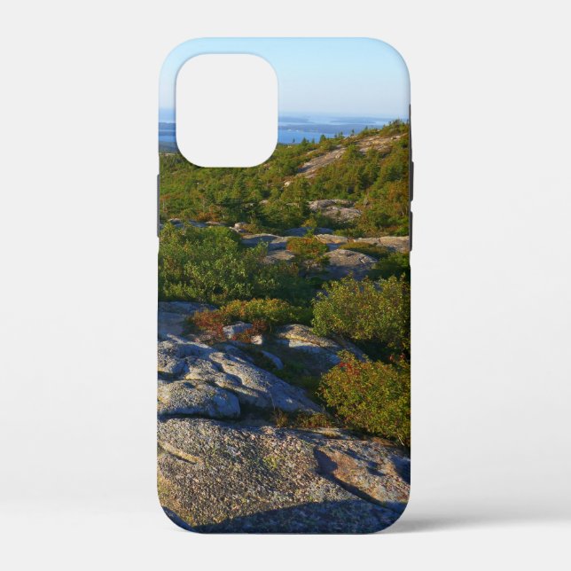 Morgens auf dem Cadillac Mountain at Acadia Case-Mate iPhone Hülle (Rückseite)