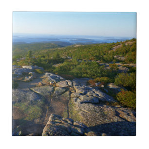 Morgens auf dem Cadillac Mountain at Acadia Fliese