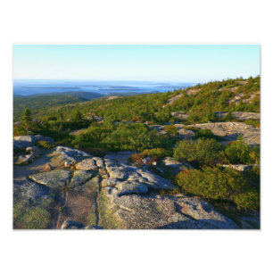 Morgens auf dem Cadillac Mountain at Acadia Fotodruck