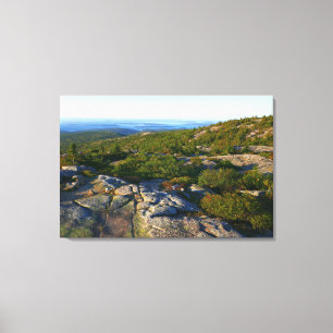 Morgens auf dem Cadillac Mountain at Acadia Leinwanddruck