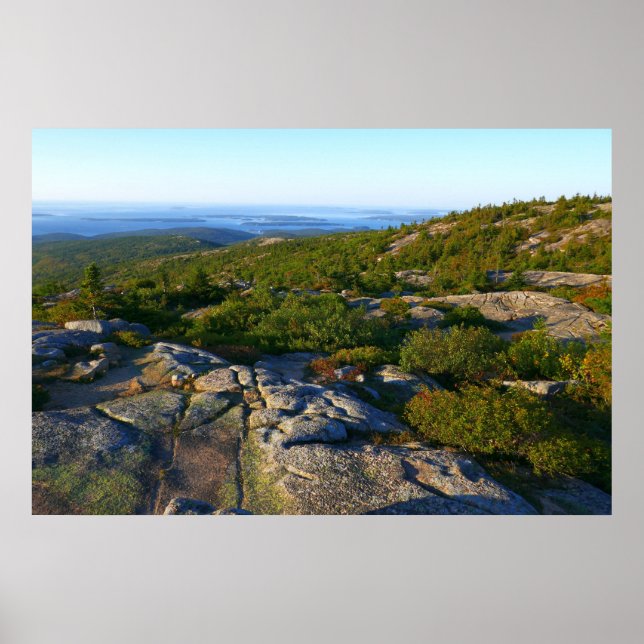 Morgens auf dem Cadillac Mountain at Acadia Poster (Vorne)