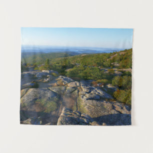 Morgens auf dem Cadillac Mountain at Acadia Wandteppich