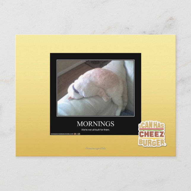 Morgens Postkarte (Vorderseite)