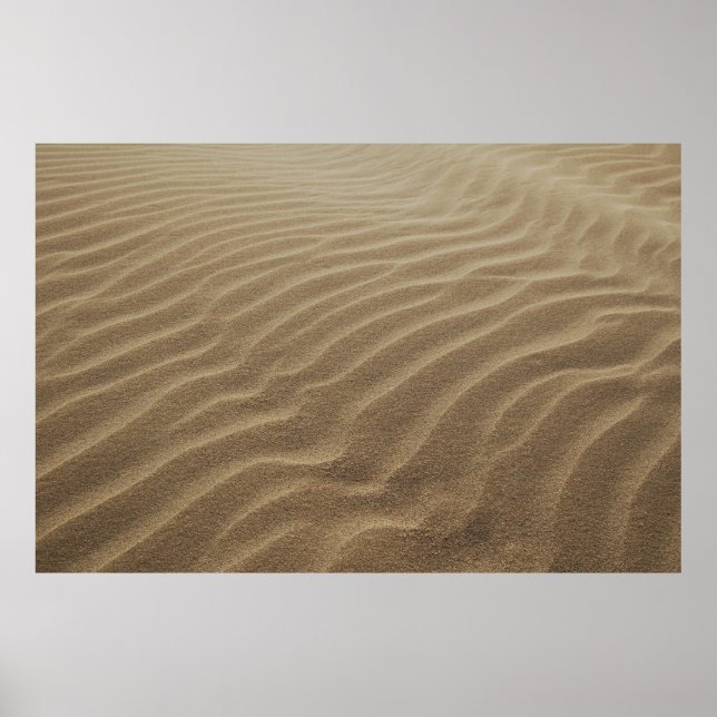 Morgens Sanddünen Poster (Vorne)