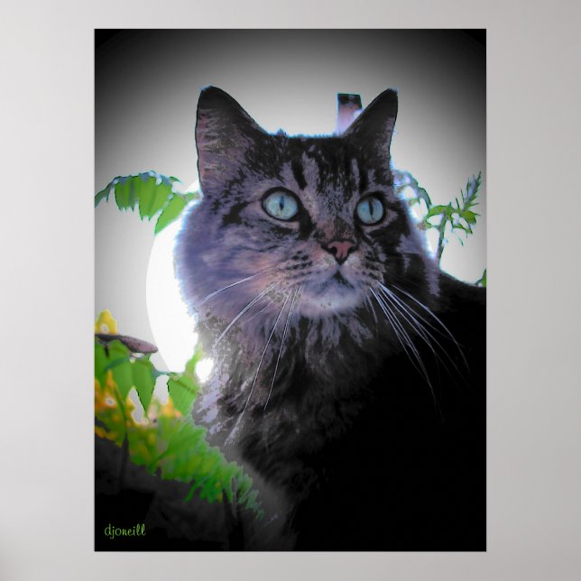 Morgensonne ist auf poster (Vorne)