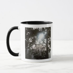 Morgensonnenlicht durch Laub des Dschungels Tasse