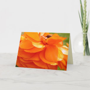 Morgensonnenlicht Karte