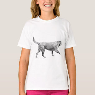 Morgenstille Bewegung T-Shirt